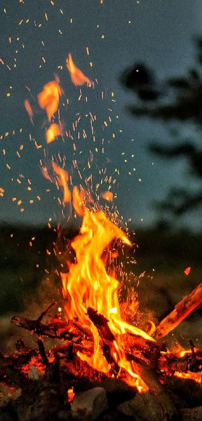 Nature Bonfire Fire Live Wallpaper