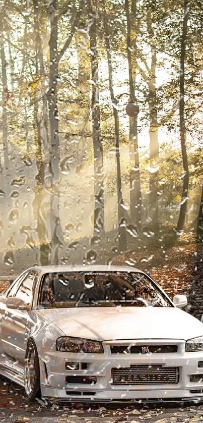 White car in a serene autumn forest background with gentle morning light.