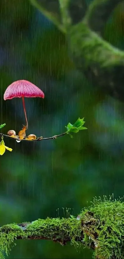 Whimsical nature wallpaper with a pink mushroom umbrella and forest background.