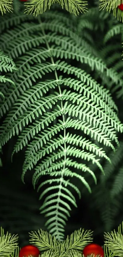 Mobile wallpaper with fern and festive border.