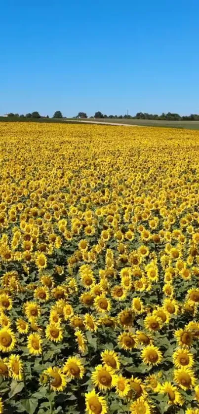 Nature Flower Plant Live Wallpaper