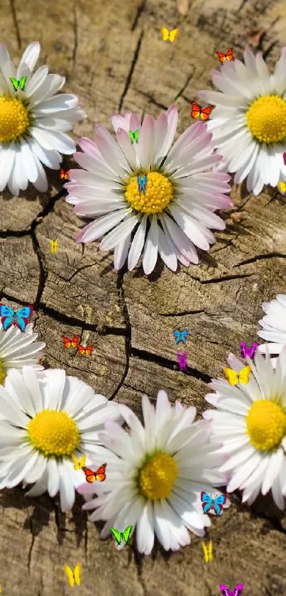 Nature Flower Plant Live Wallpaper