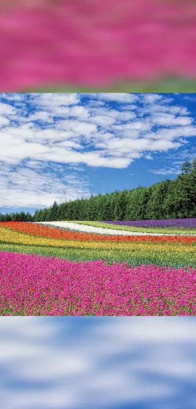 Nature Flower Plant Live Wallpaper