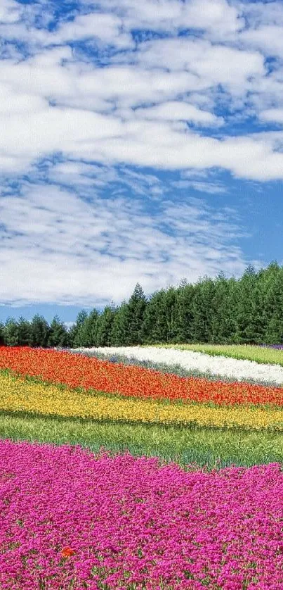 Nature Flower Plant Live Wallpaper