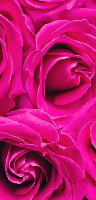 Nature Flower Plant Live Wallpaper