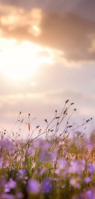 Nature Flower Plant Live Wallpaper