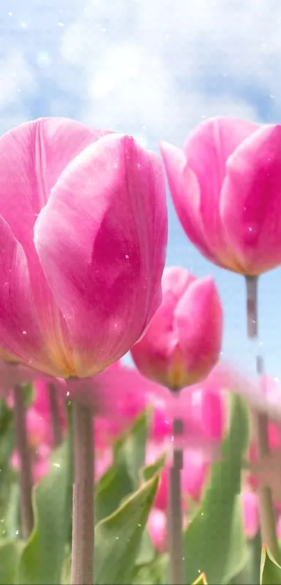Nature Flower Plant Live Wallpaper