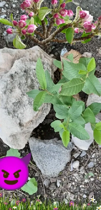 Nature scene with green leaves and purple emoji on rocks.