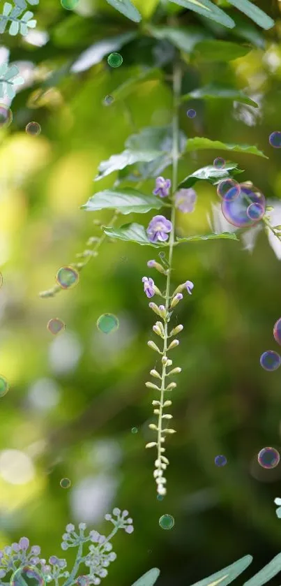 Green leaves and bubbles on a tranquil background wallpaper