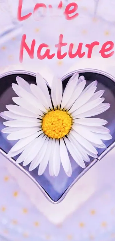 Heart-shaped daisy on serene wallpaper.