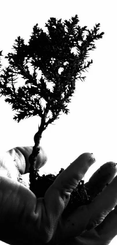 Black and white silhouette of a hand holding a small tree.