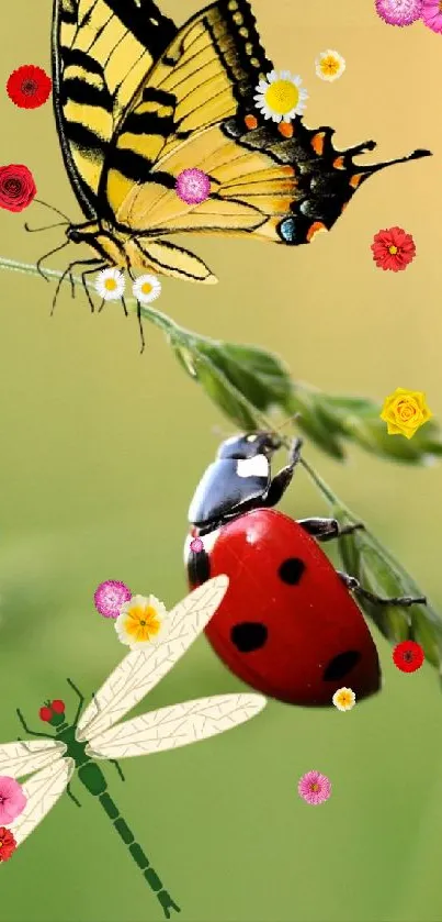 Wallpaper with butterfly, ladybug, and dragonfly on green grass.