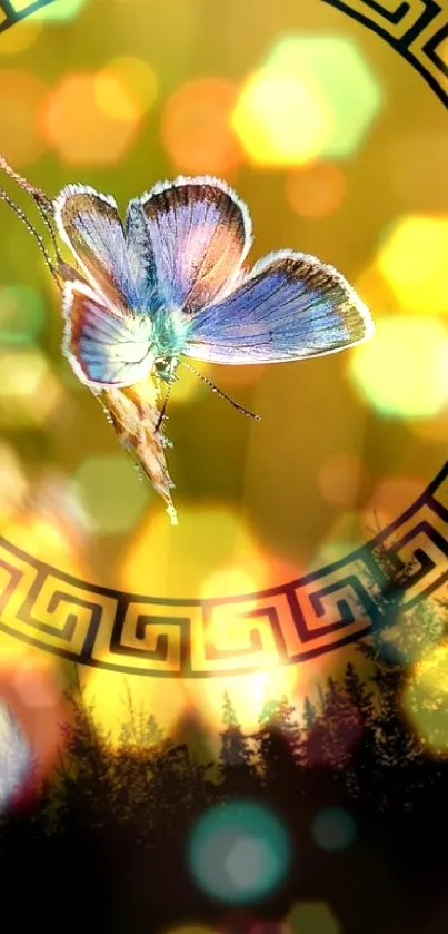 Blue butterfly with a nature background on mobile wallpaper.