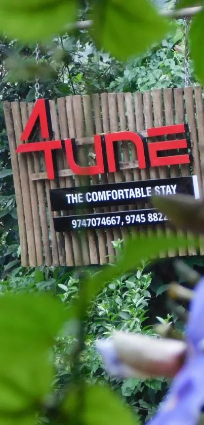 Eco-friendly hotel sign amidst lush greenery.