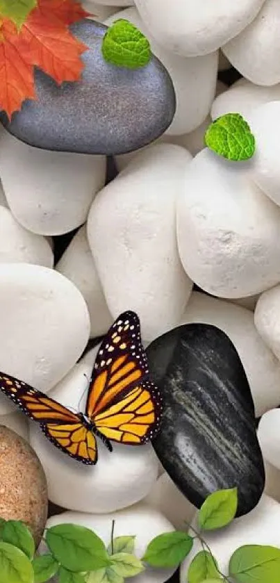 Mobile wallpaper with stones, butterfly, and autumn leaves.