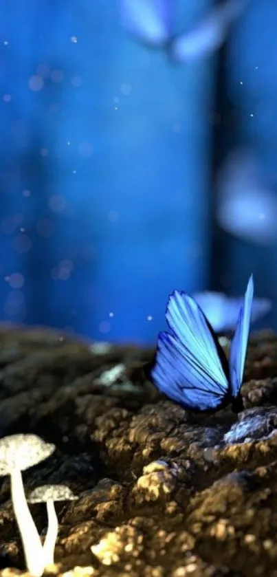 Nature Invertebrate Butterfly Live Wallpaper