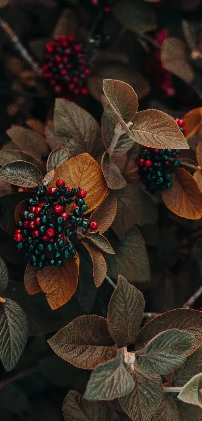 Wallpaper with brown leaves and vibrant berries for mobile background.