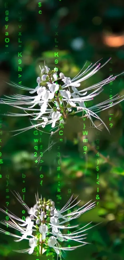 White flowers in a Matrix-style digital rain backdrop.