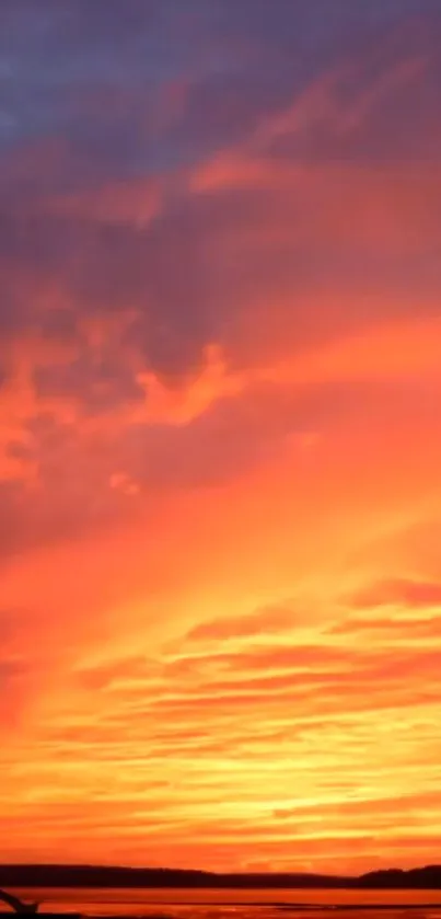 Nature Orange Outdoor Live Wallpaper