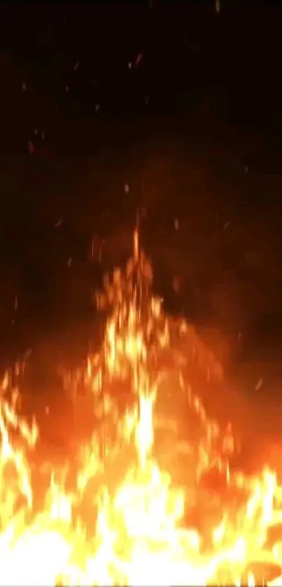 Nature Outdoor Fire Live Wallpaper
