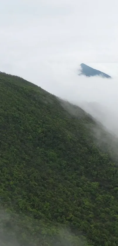 Nature Outdoor Hill Live Wallpaper