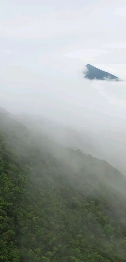 Nature Outdoor Hill Live Wallpaper