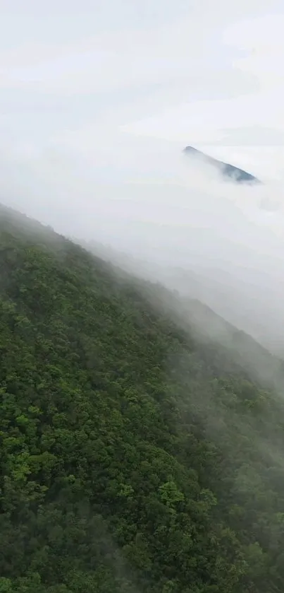 Nature Outdoor Hill Live Wallpaper