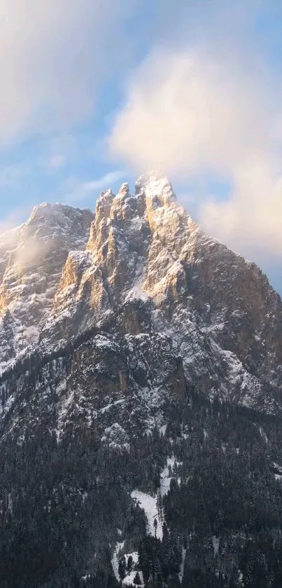 Nature Outdoor Landscape Live Wallpaper