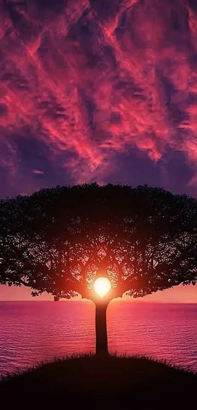 Nature Outdoor Tree Live Wallpaper