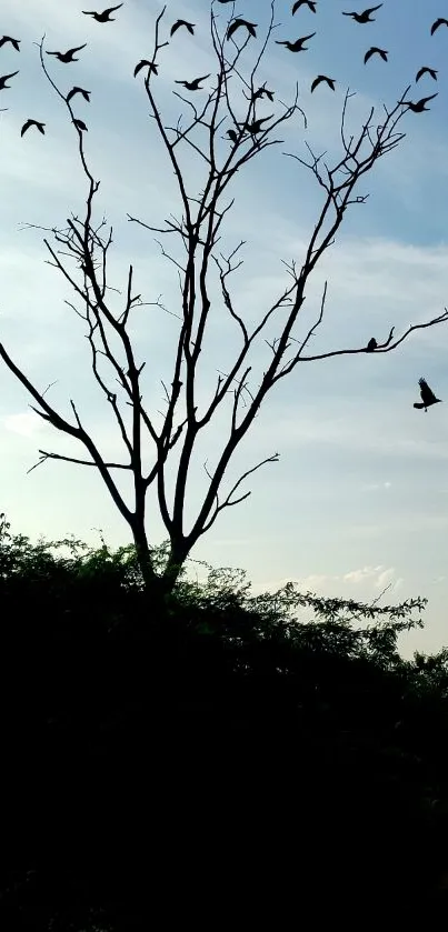 Nature Outdoor Tree Live Wallpaper