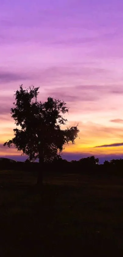 Nature Outdoor Tree Live Wallpaper