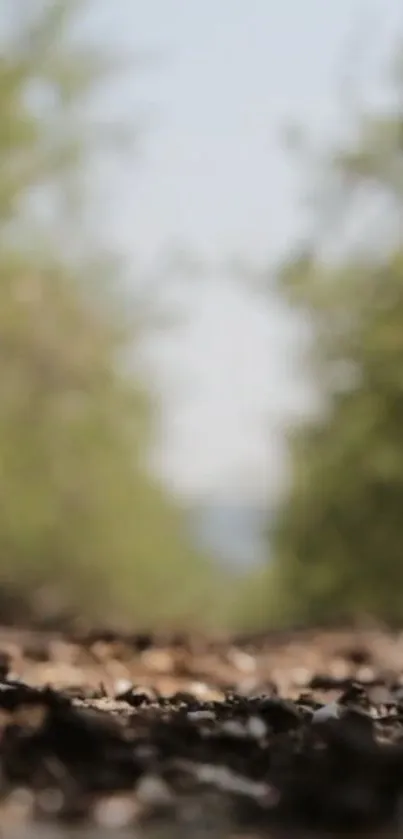 Blurred pathway through nature with green and brown tones.