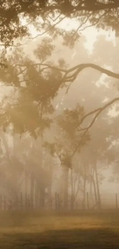 Nature Plant Cloud Live Wallpaper