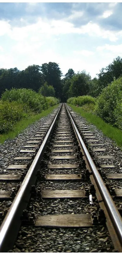 Nature Plant Grass Live Wallpaper