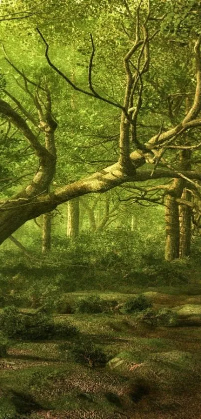 Nature Plant Grass Live Wallpaper