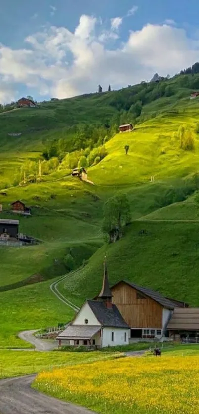 Nature Plant Grass Live Wallpaper