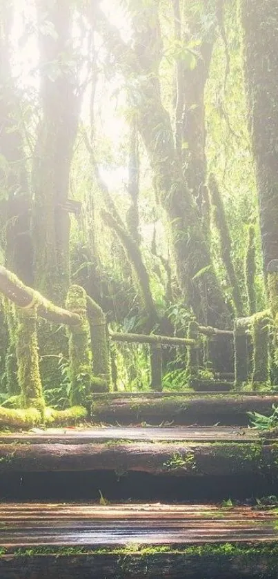 Nature Plant Grass Live Wallpaper