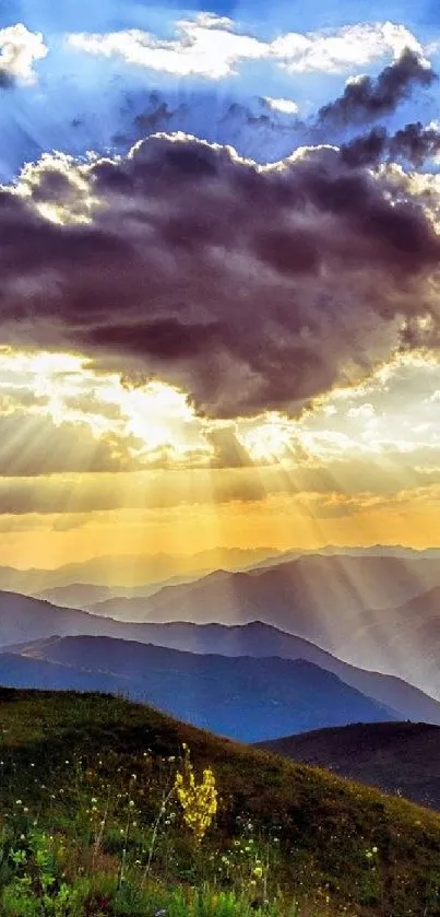Nature Plant Mountain Live Wallpaper