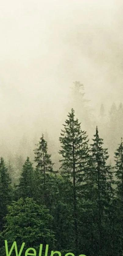 Nature Plant Outdoor Live Wallpaper