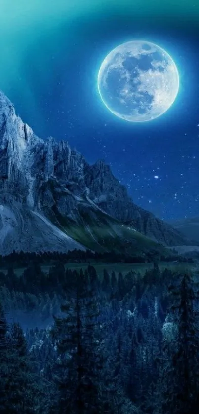 Nature Plant Sky Live Wallpaper