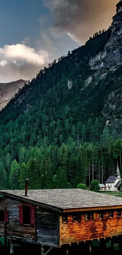 Nature Plant Tree Live Wallpaper