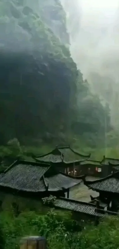 Nature Plant Tree Live Wallpaper