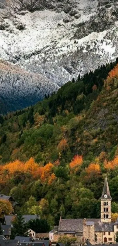 Nature Plant Tree Live Wallpaper