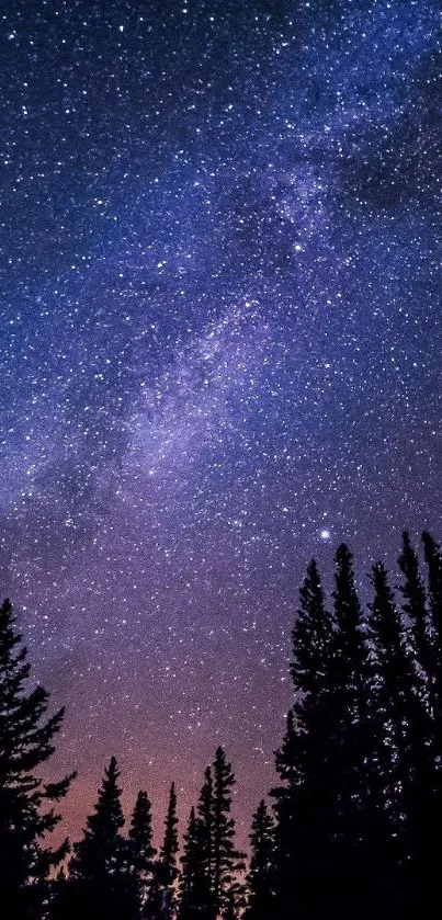 Nature Plant Tree Live Wallpaper