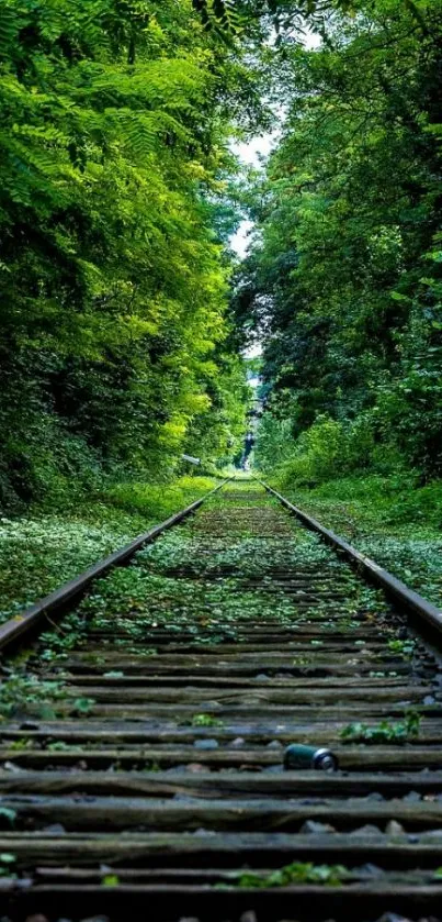 Lush green railway path through trees, nature wallpaper.