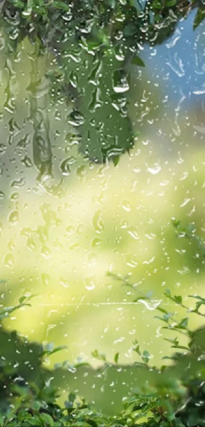 Mobile wallpaper with nature, raindrops, and green foliage.