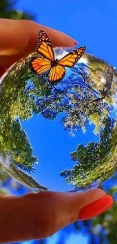 Vibrant butterfly on glass orb with blue sky and green trees.