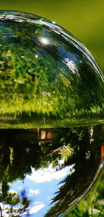 Reflective crystal ball on lush green grass.