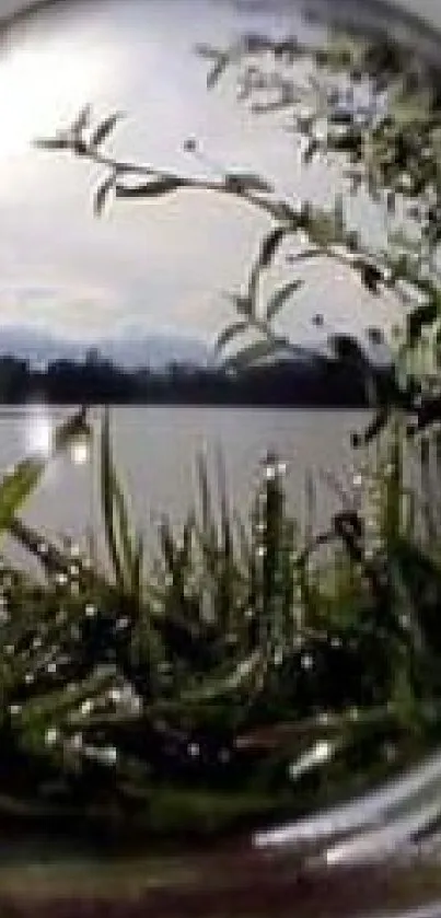 Crystal sphere reflecting a serene lakeside view surrounded by greenery.