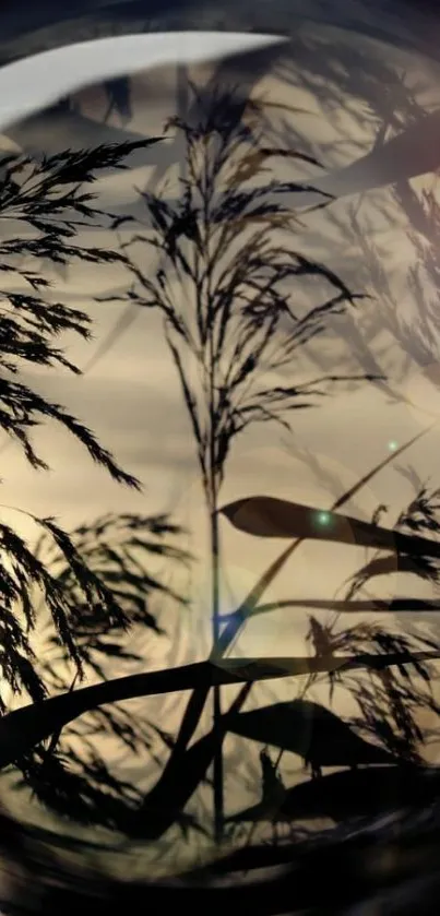 Silhouetted grass through a reflective lens on a mobile wallpaper.